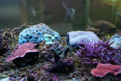 Killikus&reg; Fotographie